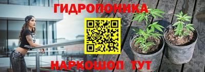 не бодяженный Будённовск