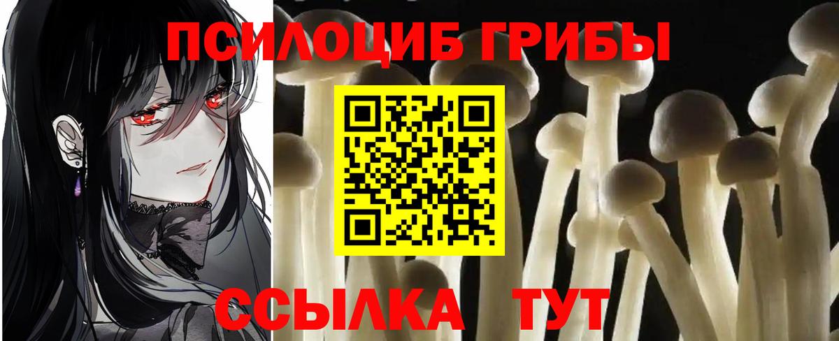 Родники  Галлюциногенные грибы мицелий  Псилоцибиновые грибы Psilocybine cubensis  Вход с VPN 